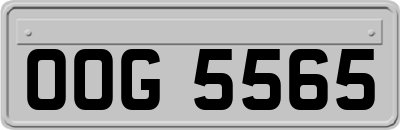 OOG5565