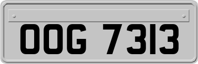 OOG7313