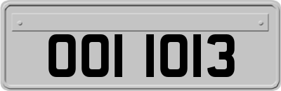 OOI1013
