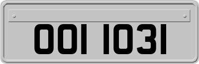 OOI1031
