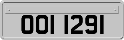 OOI1291