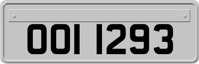 OOI1293