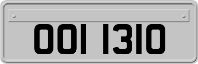 OOI1310