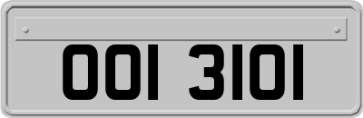 OOI3101