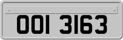 OOI3163