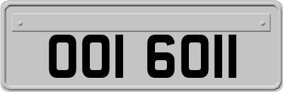 OOI6011