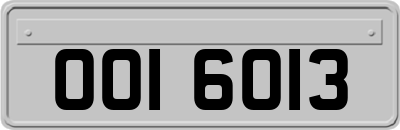 OOI6013