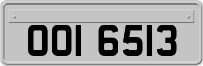 OOI6513