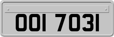 OOI7031