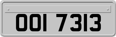 OOI7313
