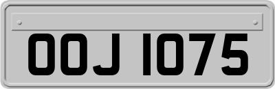 OOJ1075