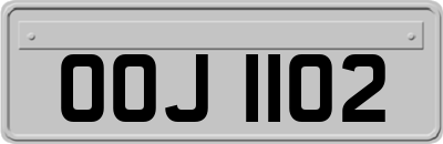 OOJ1102