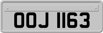 OOJ1163