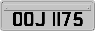 OOJ1175