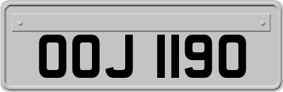 OOJ1190