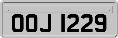 OOJ1229