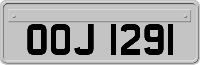 OOJ1291