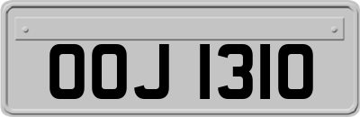 OOJ1310