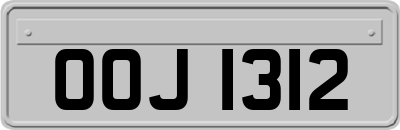 OOJ1312