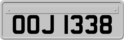 OOJ1338
