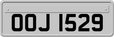 OOJ1529