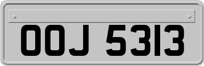 OOJ5313