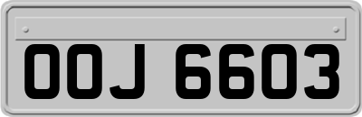 OOJ6603