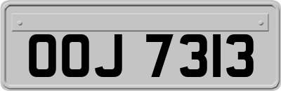 OOJ7313