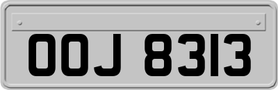 OOJ8313