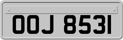OOJ8531