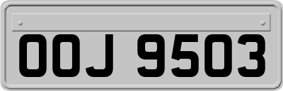 OOJ9503
