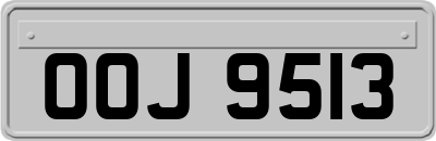 OOJ9513