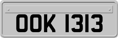 OOK1313