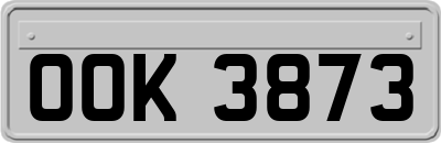 OOK3873