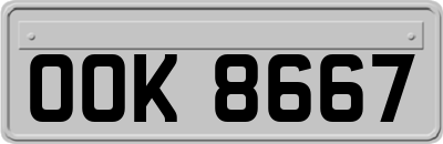 OOK8667