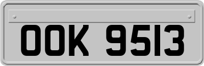 OOK9513