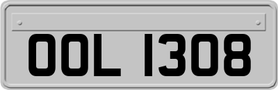 OOL1308