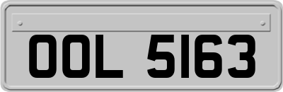 OOL5163