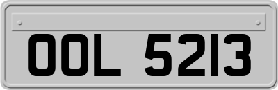 OOL5213