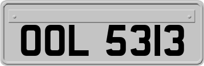 OOL5313