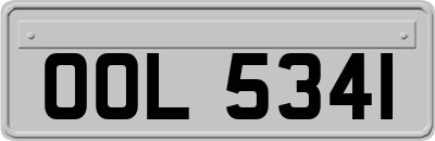 OOL5341