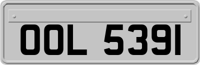 OOL5391