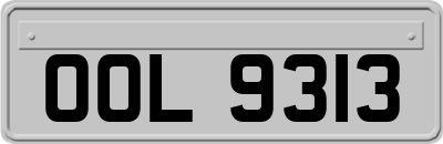 OOL9313