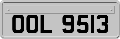 OOL9513