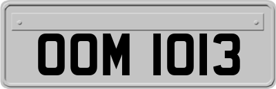 OOM1013