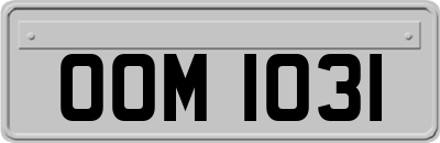 OOM1031