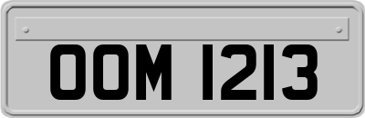 OOM1213