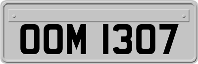 OOM1307