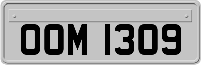 OOM1309