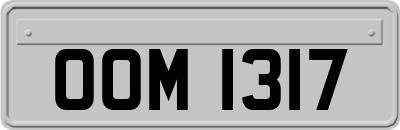 OOM1317